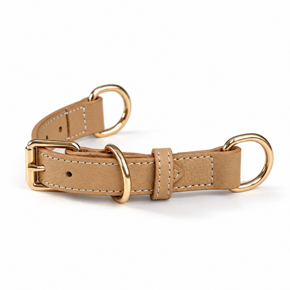 Classic Everyday Dog Collar