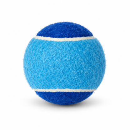 Two-Tone Ball Toy